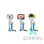 THERMOMETRE DIVERS